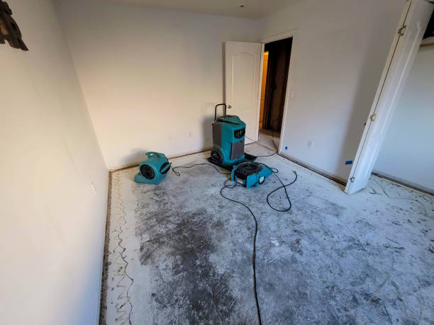 Best Professional water damage repair  in Stroud, OK