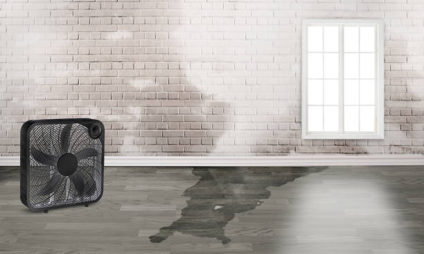  Stroud, OK Water damage restoration Pros