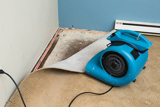 Best Flood restoration services  in Stroud, OK